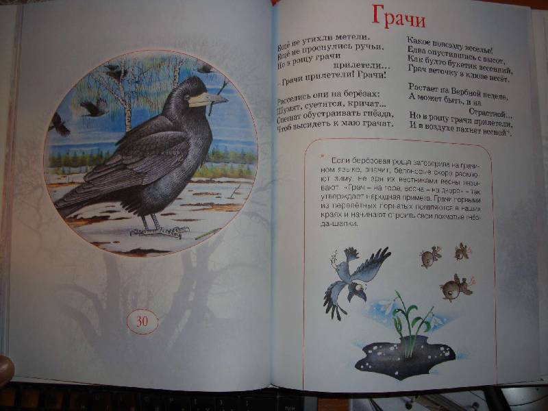 Иллюстрация 6 из 15 для На лесной полянке - Усачев, Тихонов | Лабиринт - книги. Источник: Нинуля