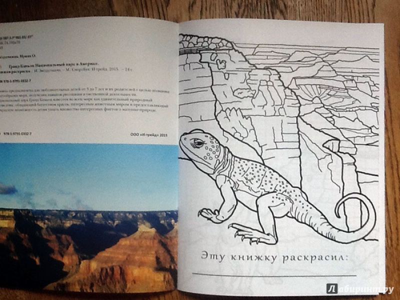 Иллюстрация 2 из 9 для Гранд-Каньон Национальный парк в Америке - Ирина Звездочкина | Лабиринт - книги. Источник: З  Вл