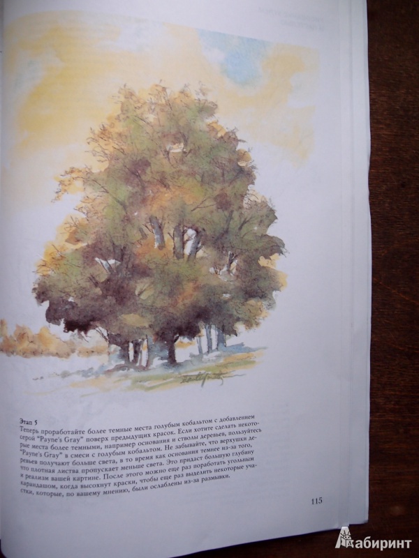Иллюстрация 10 из 61 для Деревья - Стенли Молцмен | Лабиринт - книги. Источник: Kary