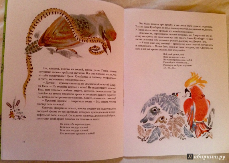 Иллюстрация 15 из 28 для Про ящеренка Гекко, который живет в Австралии - Шманкевич, Смирнов | Лабиринт - книги. Источник: Псевдоним