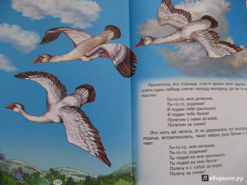 Иллюстрация 31 из 50 для Птичьи сказки | Лабиринт - книги. Источник: very_nadegata