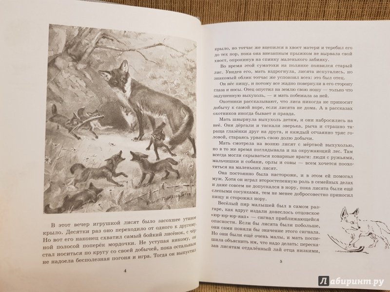 Рассказ сетона томпсона читать. Сетон-Томпсон рассказы о животных иллюстрации. Эрнст Сетон-Томпсон рассказы о животных.