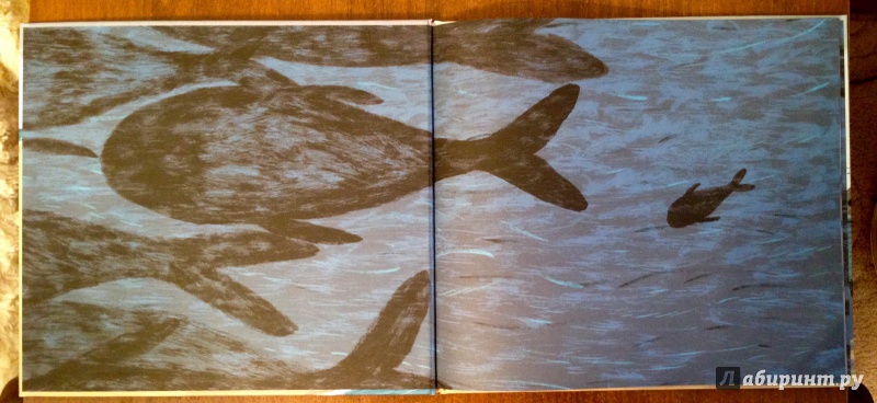Иллюстрация 6 из 71 для День, когда я встретил кита - Бенджи Дэвис | Лабиринт - книги. Источник: Псевдоним