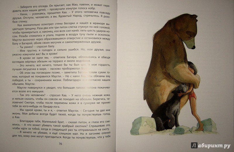 Иллюстрация 70 из 116 для Книга Джунглей - Редьярд Киплинг | Лабиринт - книги. Источник: Трухина Ирина