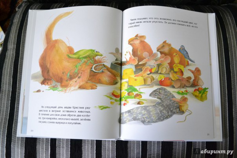 Иллюстрация 5 из 14 для Чаппи. История о настоящей собаке - Аманда Грэхем | Лабиринт - книги. Источник: Лабиринт