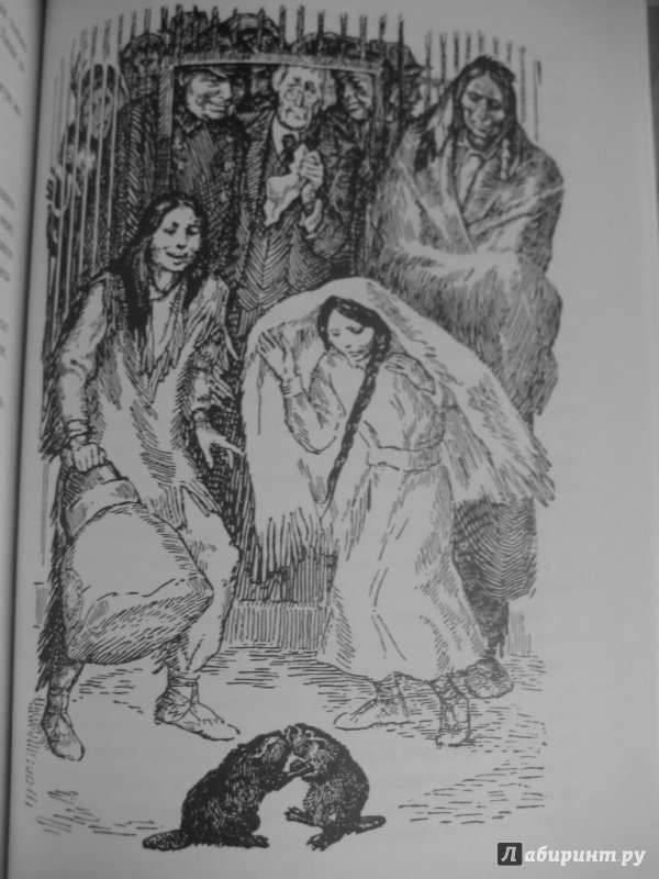 Иллюстрация 10 из 38 для Саджо и ее бобры - Сова Серая | Лабиринт - книги. Источник: Inkie