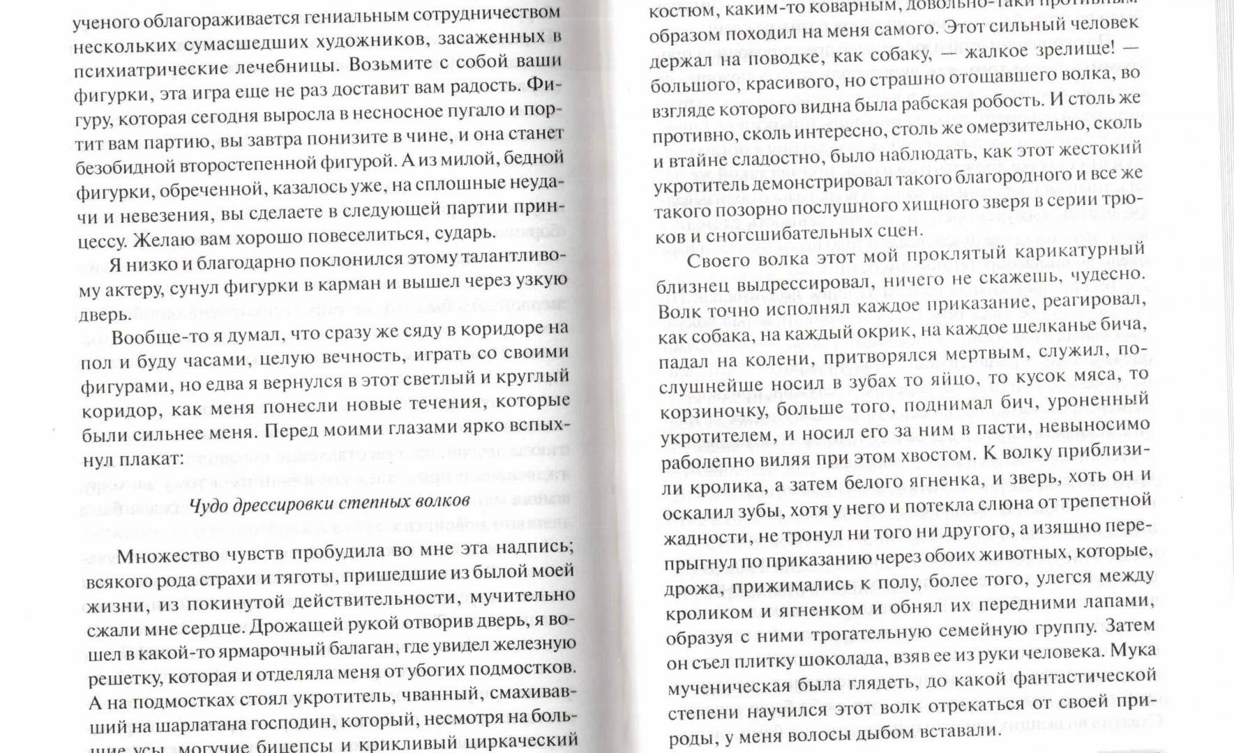 Иллюстрация 7 из 7 для Степной волк - Герман Гессе | Лабиринт - книги. Источник: Маттиас