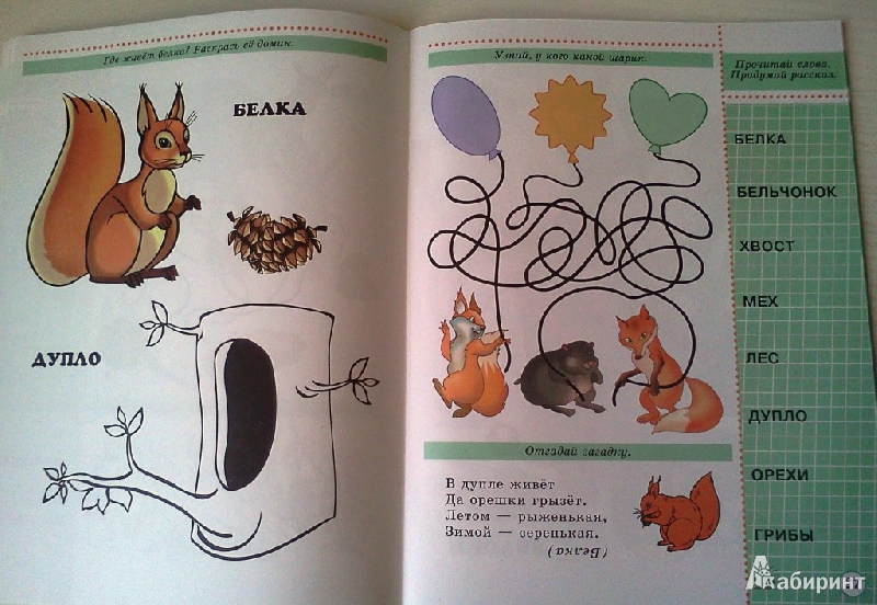 Иллюстрация 19 из 27 для Ребятам о зверятах. | Лабиринт - книги. Источник: ОксанаШ