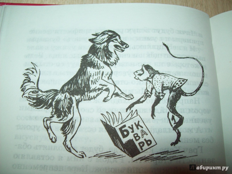 Рассказ дурова наша жучка. Дуров в.л. "Мои звери". Иллюстрации к рассказам н Дуровой. Дуров рассказы о животных. Мои звери читательский дневник.