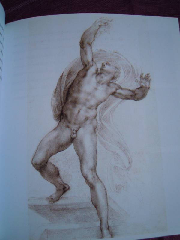 Иллюстрация 7 из 15 для Микеланджело - Эжен Мюнц | Лабиринт - книги. Источник: tatiana v