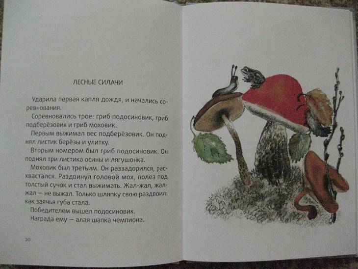Иллюстрация 4 из 14 для Воробьишкина весна - Николай Сладков | Лабиринт - книги. Источник: Up!
