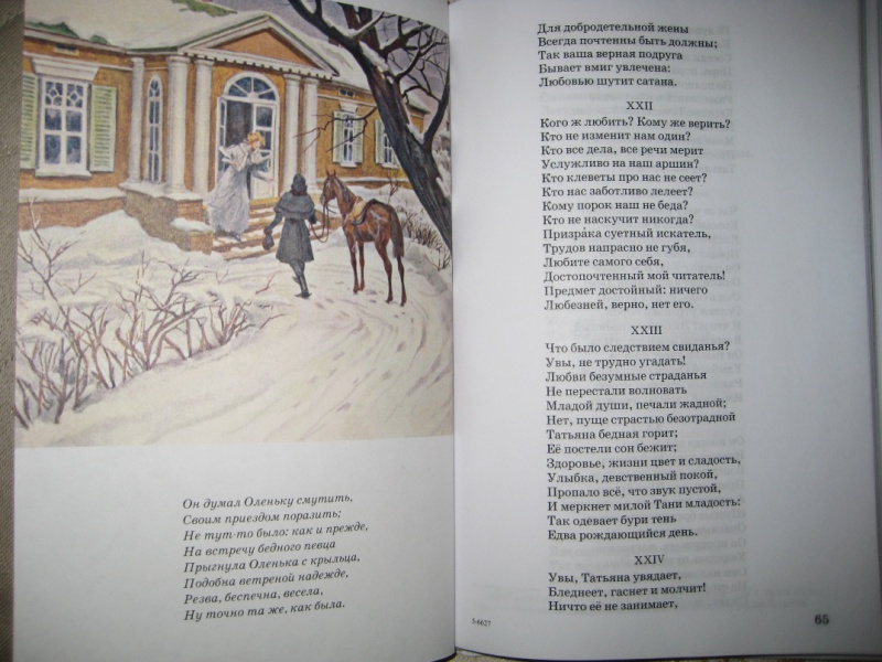 Иллюстрация 9 из 28 для Евгений Онегин - Александр Пушкин | Лабиринт - книги. Источник: Макарова  Елена
