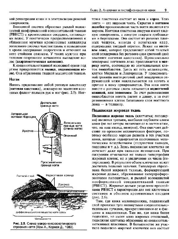 Иллюстрация 6 из 33 для Кожные и венерические болезни - Адаскевич, Козин | Лабиринт - книги. Источник: Юта