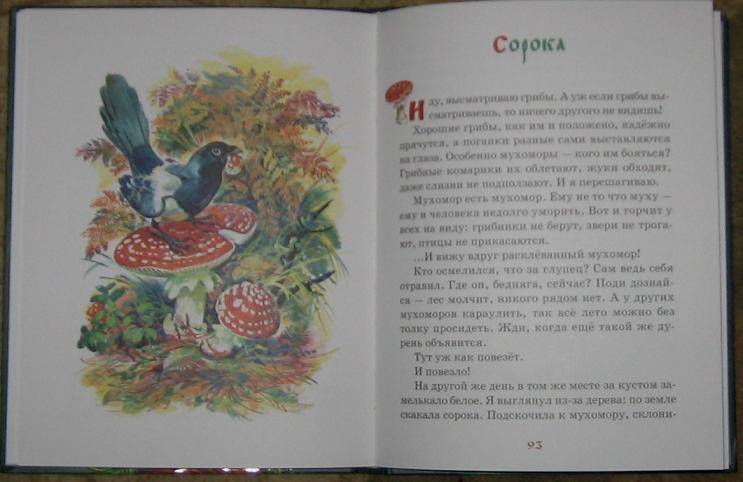Иллюстрация 17 из 38 для Русские сказки о природе - Николай Сладков | Лабиринт - книги. Источник: акка