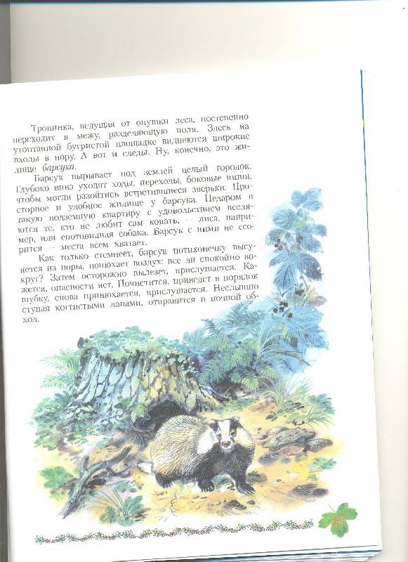 Иллюстрация 35 из 39 для Кто в кустарнике живет? Книга для чтения детям - Александр Тамбиев | Лабиринт - книги. Источник: Nchk