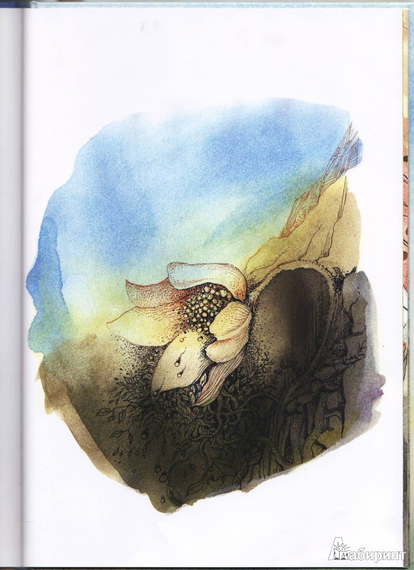 Иллюстрация 21 из 39 для Раффи, белоснежный орёл - Рэйнвиль, Джеминиани | Лабиринт - книги. Источник: Трубадур