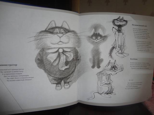 Иллюстрация 5 из 23 для Полное собрание котов - Андрей Усачев | Лабиринт - книги. Источник: Лёна  Алена