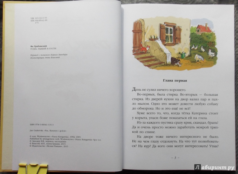 Иллюстрация 36 из 46 для Тузик, Рыжий и гости - Ян Грабовский | Лабиринт - книги. Источник: Агаточка