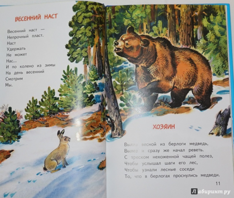 Иллюстрация 3 из 26 для Календарь природы - Владимир Степанов | Лабиринт - книги. Источник: anko15
