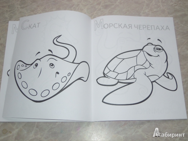 Иллюстрация 7 из 14 для Забавные морские животные | Лабиринт - книги. Источник: Iwolga