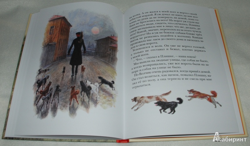 Иллюстрация 14 из 17 для Рассказы о животных - Борис Житков | Лабиринт - книги. Источник: Книжный кот