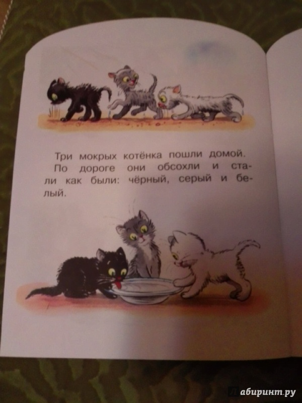 Иллюстрация 8 из 19 для Три котёнка - Владимир Сутеев | Лабиринт - книги. Источник: Zhukova  Polina