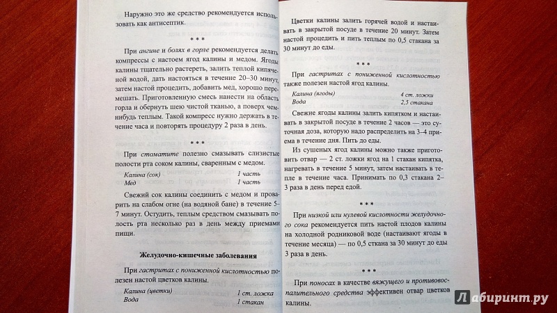 Иллюстрация 8 из 20 для Калина. Мифы и реальность - Иван Неумывакин | Лабиринт - книги. Источник: Alenta  Valenta