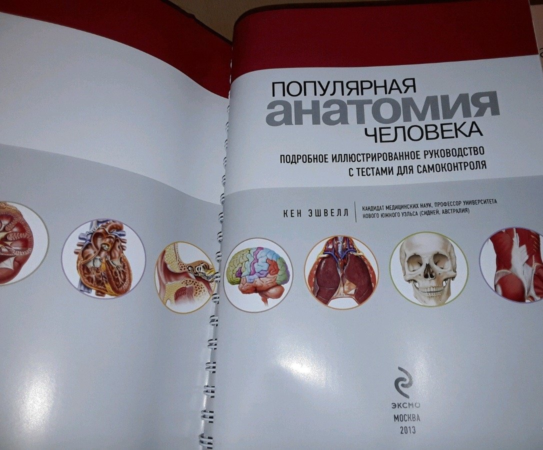Иллюстрация 21 из 22 для Популярная анатомия человека. Подробное иллюстрированное руководство с тестами для самоконтроля - Кен Эшвелл | Лабиринт - книги. Источник: Космос