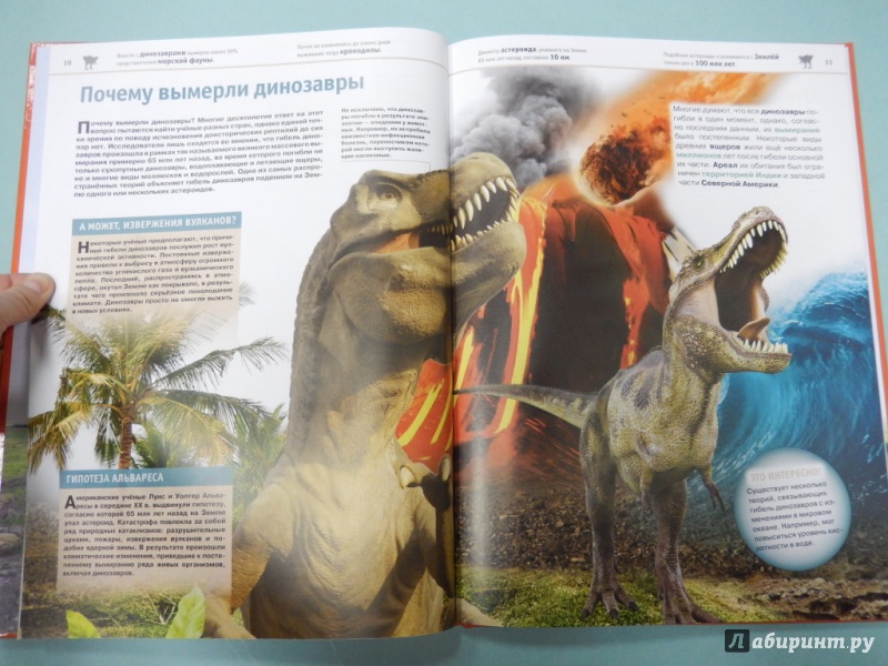 Иллюстрация 7 из 21 для Динозавры - Виктория Владимирова | Лабиринт - книги. Источник: dbyyb