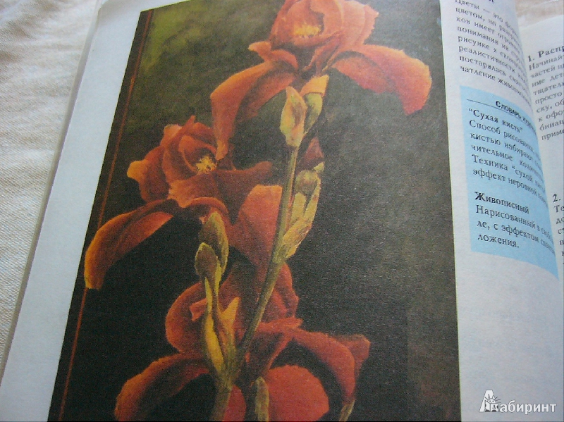 Иллюстрация 6 из 23 для Рисунок акриловыми красками - Вики Лорд | Лабиринт - книги. Источник: Nika