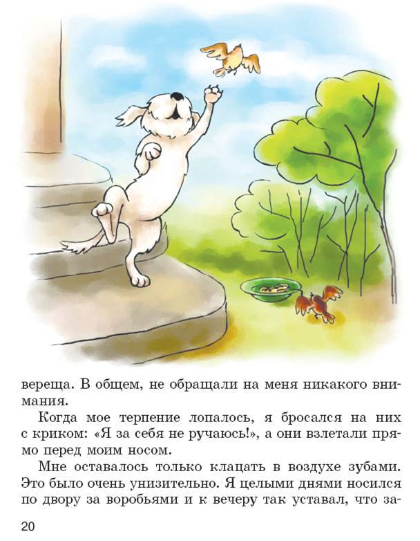 Иллюстрация 9 из 30 для Пух, летающая собака - Людмила Одинцова | Лабиринт - книги. Источник: Любознательный