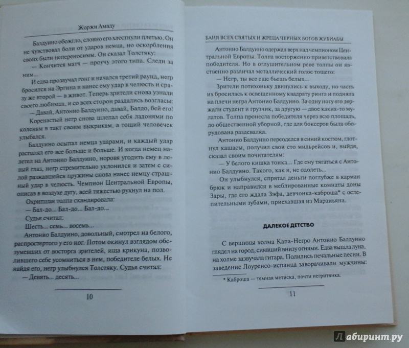 Иллюстрация 8 из 44 для Жубиаба - Жоржи Амаду | Лабиринт - книги. Источник: Крюкова  Карина