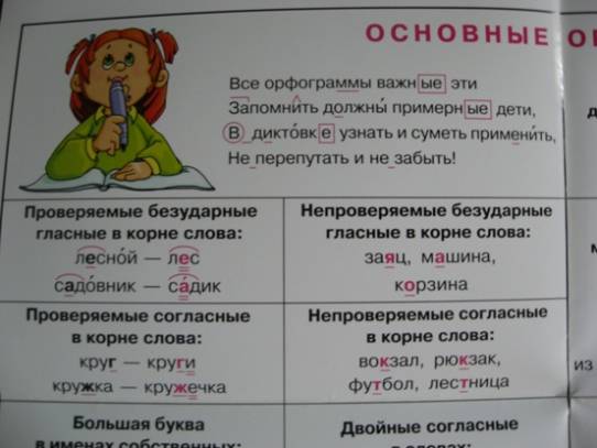 Иллюстрация 7 из 8 для Русский язык. Основные орфограммы. Для 1-5 классов | Лабиринт - книги. Источник: Карпенко  Евгения