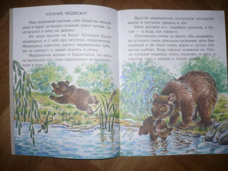Иллюстрация 2 из 11 для Мишка - Башка - Виталий Бианки | Лабиринт - книги. Источник: Gurianova  Olga