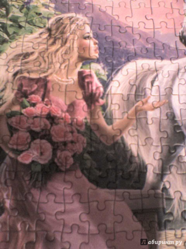 Иллюстрация 3 из 5 для Puzzle-500 "Волшебный сад" (B-52127) | Лабиринт - игрушки. Источник: Роза с шипами
