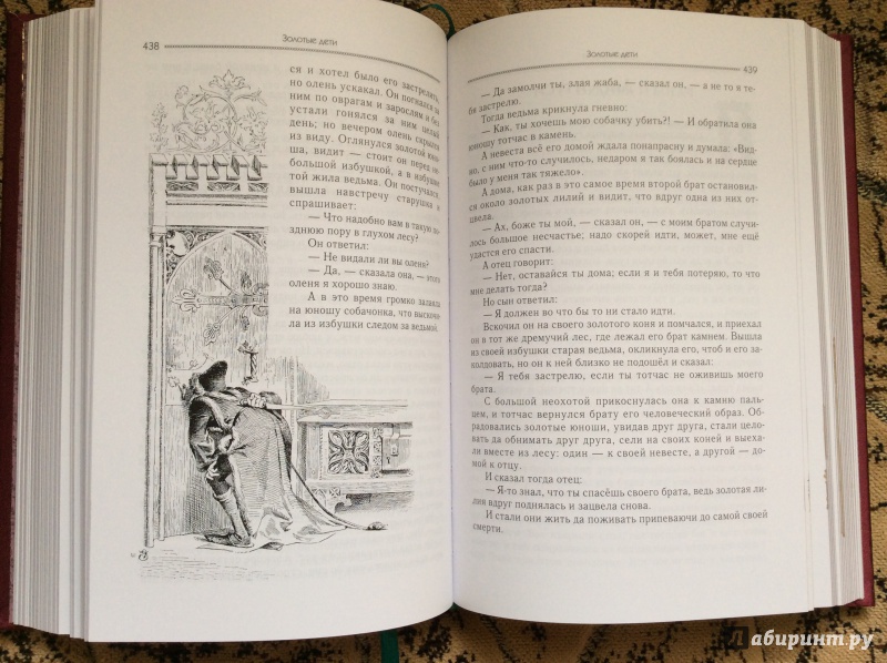 Иллюстрация 21 из 95 для Сказки - Гримм Якоб и Вильгельм | Лабиринт - книги. Источник: а.а.и.