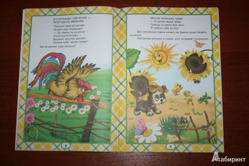 Иллюстрация 6 из 10 для Природные явления (для детей от 4-х лет) | Лабиринт - книги. Источник: Рудис  Александра