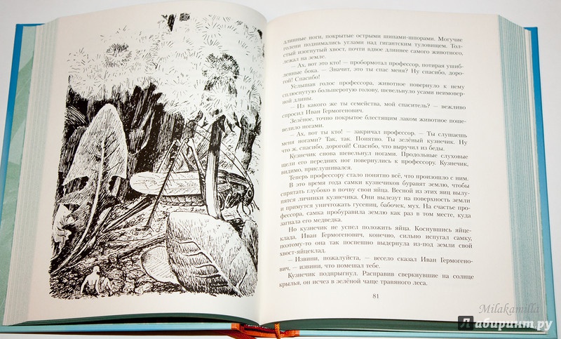 Иллюстрация 73 из 101 для Необыкновенные приключения Карика и Вали - Ян Ларри | Лабиринт - книги. Источник: Букландия