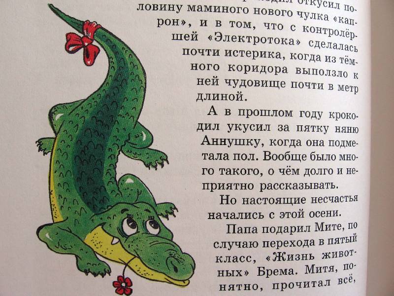 Иллюстрация 34 из 58 для Катя и крокодил - Гернет, Ягдфельд | Лабиринт - книги. Источник: Red cat ;)