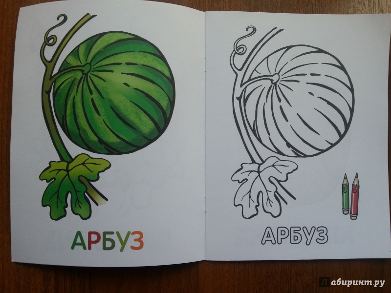 Иллюстрация 16 из 33 для Раскраска для малышей. Ягоды | Лабиринт - книги. Источник: Баскова  Юлия Сергеевна