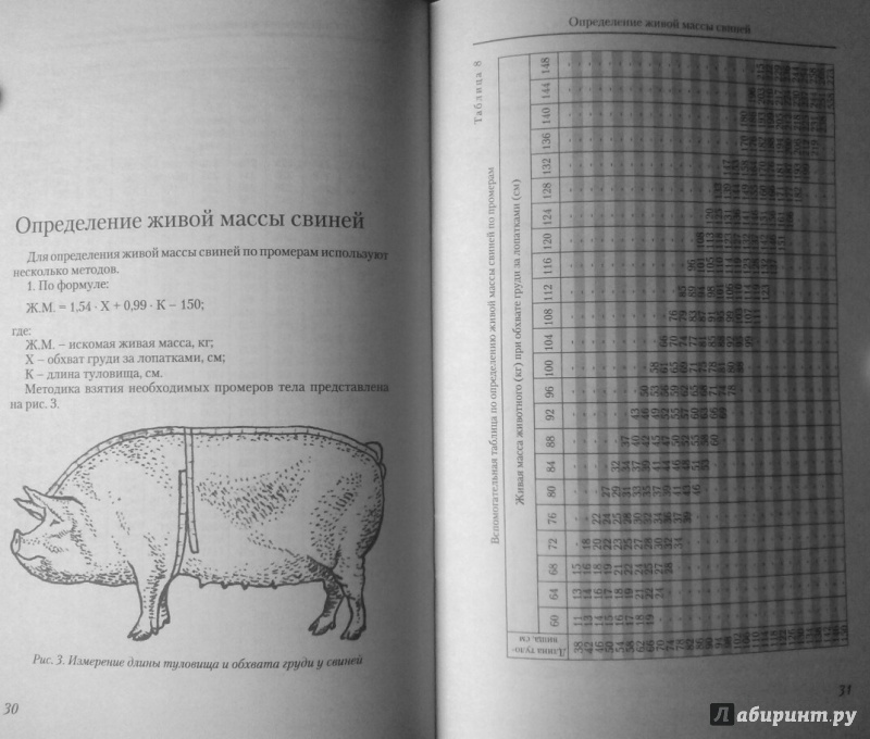 Иллюстрация 3 из 6 для Определение живой массы сельскохозяйственных животных по промерам - Егор Лебедько | Лабиринт - книги. Источник: SiB