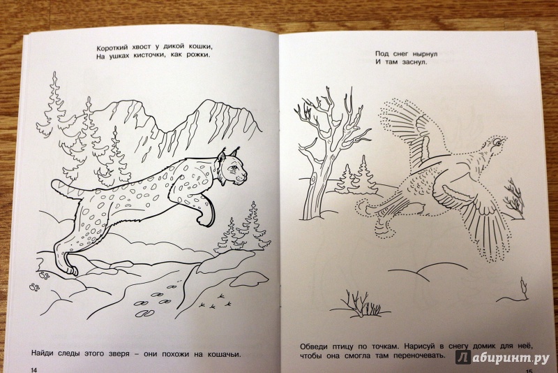 Иллюстрация 7 из 8 для Лесные жители - М. Земнов | Лабиринт - книги. Источник: Террил