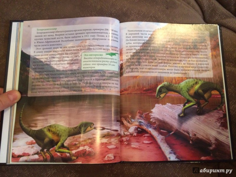 Иллюстрация 26 из 36 для Динозавры - Ирина Астапенко | Лабиринт - книги. Источник: Лабиринт