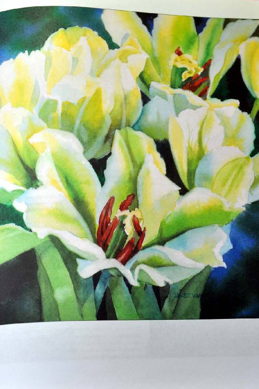Иллюстрация 8 из 26 для Рисуем цветы акварелью - Жанет Уиттл | Лабиринт - книги. Источник: Ассоль