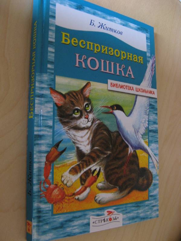 Иллюстрация 14 из 22 для Беспризорная кошка - Борис Житков | Лабиринт - книги. Источник: Осень-рыжая подружка.