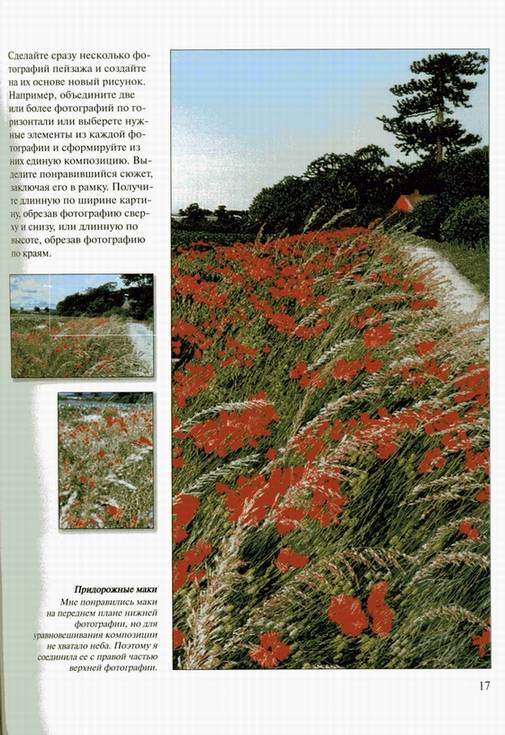 Иллюстрация 36 из 43 для Машинная вышивка цветов. Практическое руководство для начинающих - Элисон Холт | Лабиринт - книги. Источник: Panterra