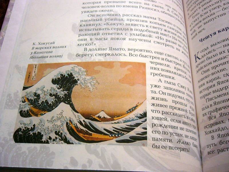 Иллюстрация 47 из 52 для Путь самурая - Александр Дорофеев | Лабиринт - книги. Источник: Nika