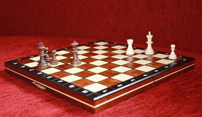Иллюстрация 3 из 4 для Шахматы магнитные | Лабиринт - игрушки. Источник: КНИЖНОЕ ДЕТСТВО