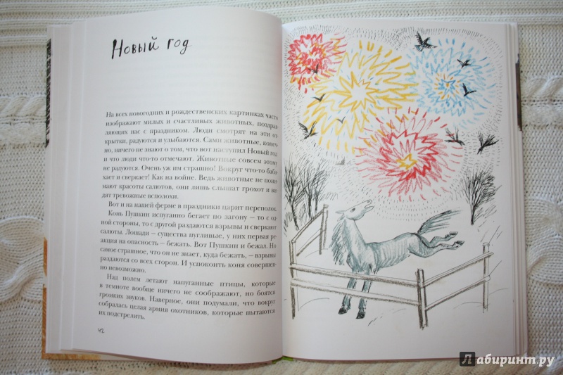 Иллюстрация 12 из 21 для Письма с моей фермы (+ CD) - Маша Слоним | Лабиринт - книги. Источник: Иванова  Анна