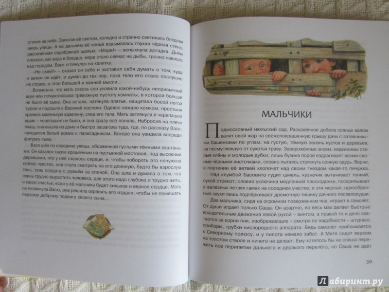 Иллюстрация 18 из 38 для Рассказы для детей - Юрий Нагибин | Лабиринт - книги. Источник: ЮлияО